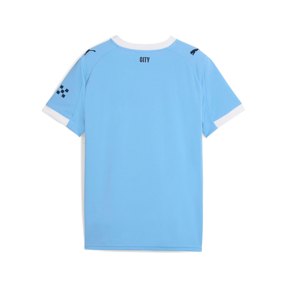 Puma Manchester City 25/26 Home Jersey Men