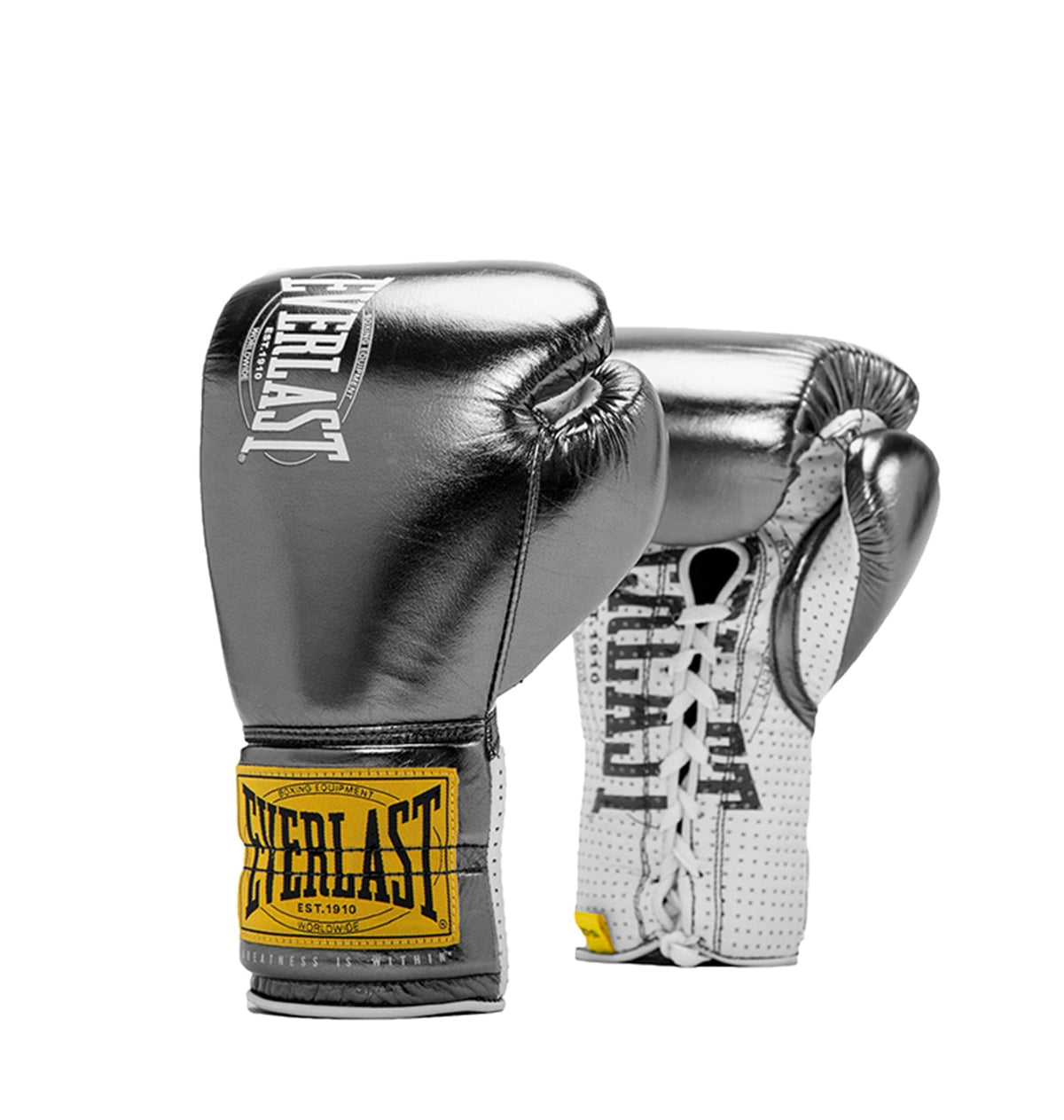 A pair of Everlast 1910 Pro Fight leather gloves in gun metal color with ventilated palms and the brand&#39;s logo on the cuffs.