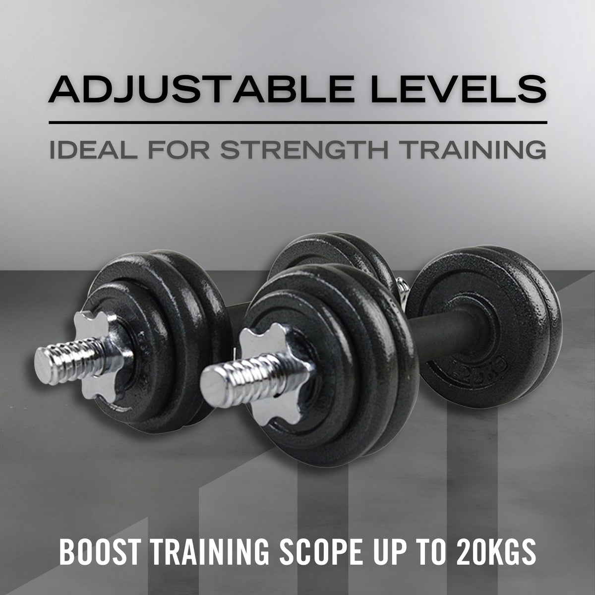 20KG CAST IRON DUMBBELL SET