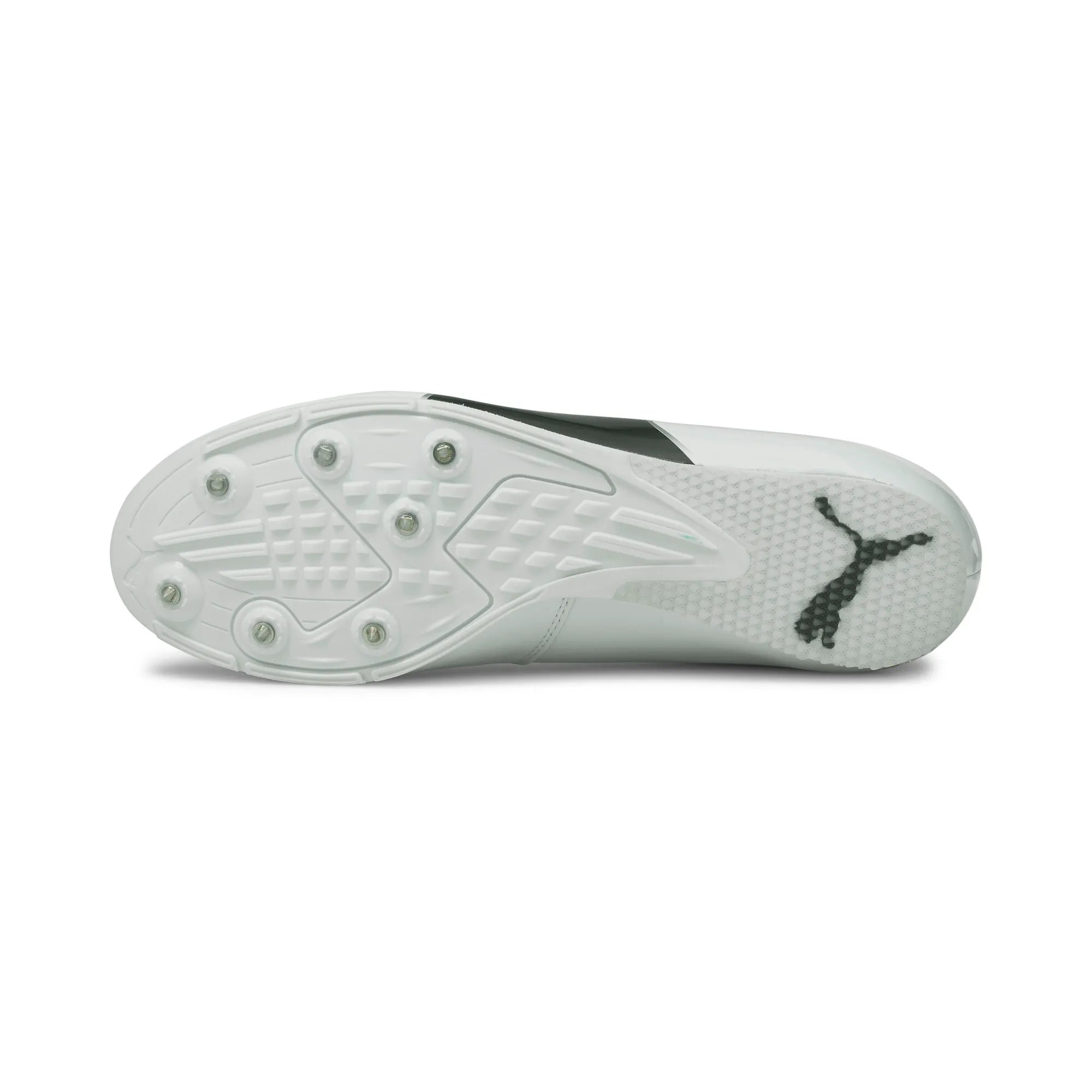 Puma evoSPEED Long Jump 6 White