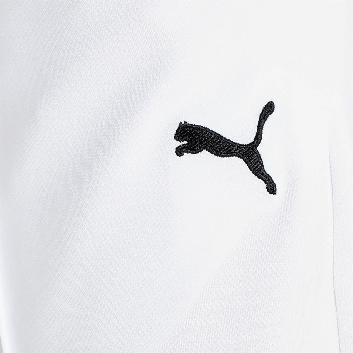 Puma Cricket Team Knit Pant White
